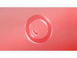 OBSBOT представляет июньское обновление: новые функции, языки и улучшения производительности